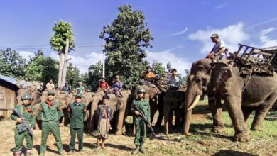 PLA troops pose with elephants and their handlers (PLA)