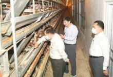 Junta leader Min Aung Hlaing inspects a poultry farm in Taunggyi, Shan State, in 2023 (Photo: Ministry of Information)