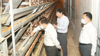 Junta leader Min Aung Hlaing inspects a poultry farm in Taunggyi, Shan State, in 2023 (Photo: Ministry of Information)
