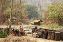 Oil fields in Myaing Township in March (Photo: Moe Oo)