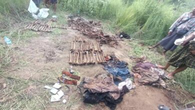 Remains that were excavated near Wetpoke village in Myaing Township, Magway Region, on October 4 (Photo: Anyar Myay Civil Society Organisation)