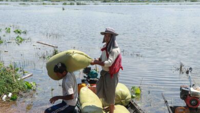 ရာဂီ တိုင်ဖွန်းမုန်တိုင်းကြောင့် လွိုင်ကော်မြို့နယ်အတွင်း ရေလျှံနေစဉ် ဆန်အိတ်သယ်နေကြသော ဒေသခံများကို၂၀၂၄ ခုနှစ် စက်တင်ဘာလ ၁၆ ရက်နေ့က တွေ့ရစဉ်။ (ဓာတ်ပုံ-AFP)