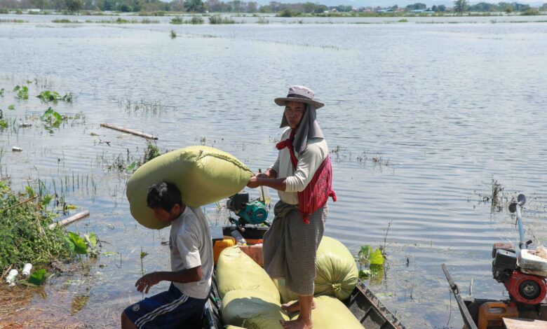 ရာဂီ တိုင်ဖွန်းမုန်တိုင်းကြောင့် လွိုင်ကော်မြို့နယ်အတွင်း ရေလျှံနေစဉ် ဆန်အိတ်သယ်နေကြသော ဒေသခံများကို၂၀၂၄ ခုနှစ် စက်တင်ဘာလ ၁၆ ရက်နေ့က တွေ့ရစဉ်။ (ဓာတ်ပုံ-AFP)