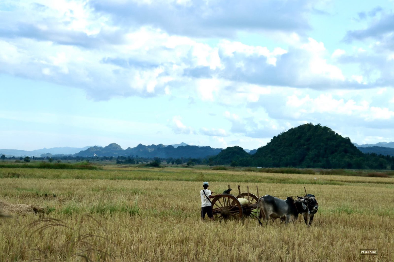 ၂၀၂၅ ခုနှစ် ဇူလိုင်လက ရှမ်းနှင့် ကရင်နီနယ်စပ် လမ်းပိုင်းတစ်နေရာတွင် တွေ့ရသော လယ်ယာမြေများ။ (ဓာတ်ပုံ- ကိုလှိုင်း)