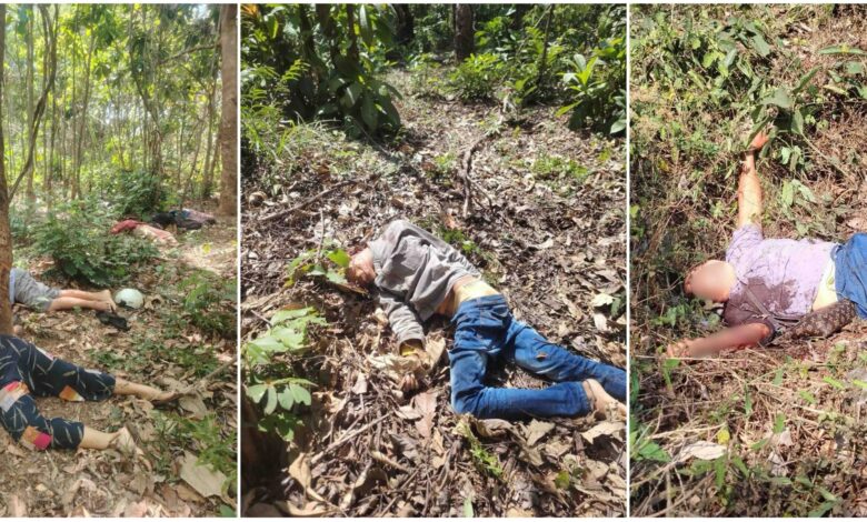 -စုံစင်ဖျားကျေးရွာအနီး ရာဘာတောထဲတွင် သတ်ဖြတ်ခံထားရသော ဒေသခံရုပ်အလောင်း ခုနစ်လောင်းကို ဖေဖော်ဝါရီလ ၂၈ ရက်နေ့က တွေ့ရစဉ် ။ (ဓာတ်ပုံ- ပေးပို့)