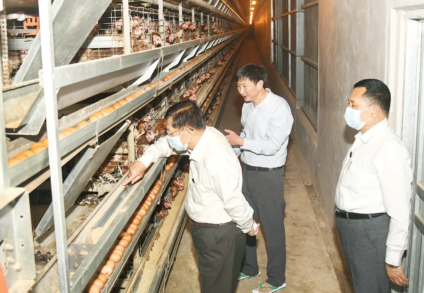 ၂၀၂၃ အတွင်းက ရှမ်းပြည်နယ် တောင်ကြီးမြို့မှ ကြက်ခြံများကို အာဏာသိမ်းစစ်ခေါင်းဆောင် သွားရောက်စစ်ဆေးစဉ်။ (ဓာတ်ပုံ- စစ်တပ်ထိန်းချုပ်MOI)