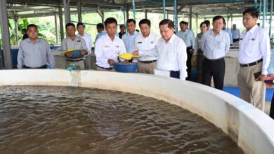 ဇူလိုင်လ ၁၈ ရက်က ရန်ကုန်တိုင်း စိုက်ပျိုးမွေးမြူရေးဇုန်များကို လာရောက်ကြည့်ရှုနေသော ဦးမင်းအောင်လှိုင်၊ ဗိုလ်ချုပ်ကြီးရဲဝင်းဦးတို့အပါအဝင် အာဏာရ ထိပ်ပိုင်းခေါင်းဆောင်များ။ (ဓာတ်ပုံ- စစ်တပ်ထိန်းချုပ် MOI)