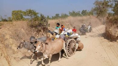 စစ်ကြောင်းရန်ကြောင့် ထွက်ပြေးတိမ်းရှောင်နေသော မြိုင်ဒေသခံများကို ဩဂုတ်လ ၁၅ ရက်က ထုတ်ပြန်ထားစဉ်။ (ဓာတ်ပုံ-အညာမြေတပ်ပေါင်းစု)