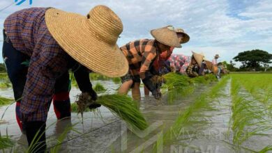 ဓာတ်ပုံ - မင်းခန့်ကျော်