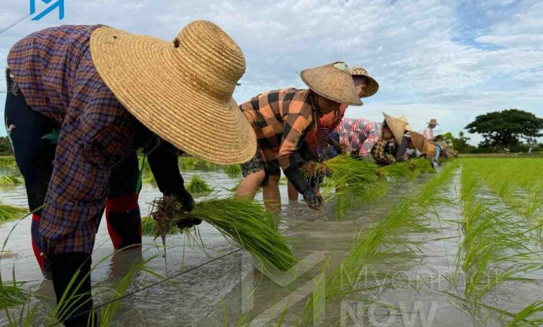 ဓာတ်ပုံ - မင်းခန့်ကျော်