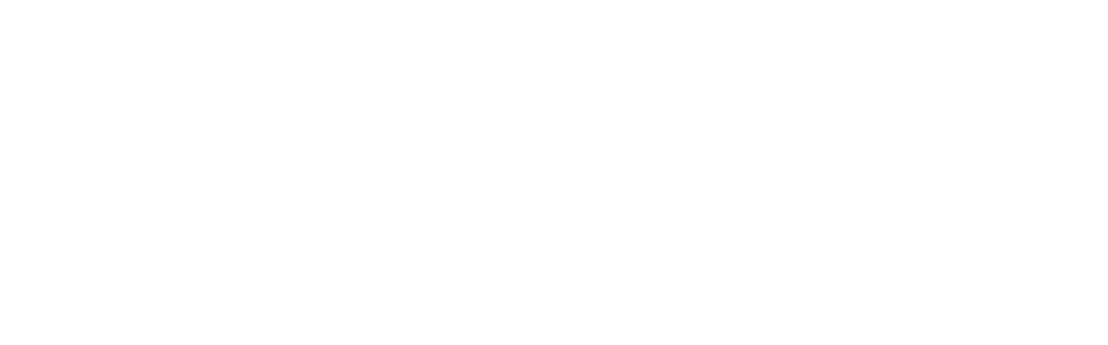 Myanmar Now logo
